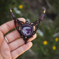Amethyst Halskette